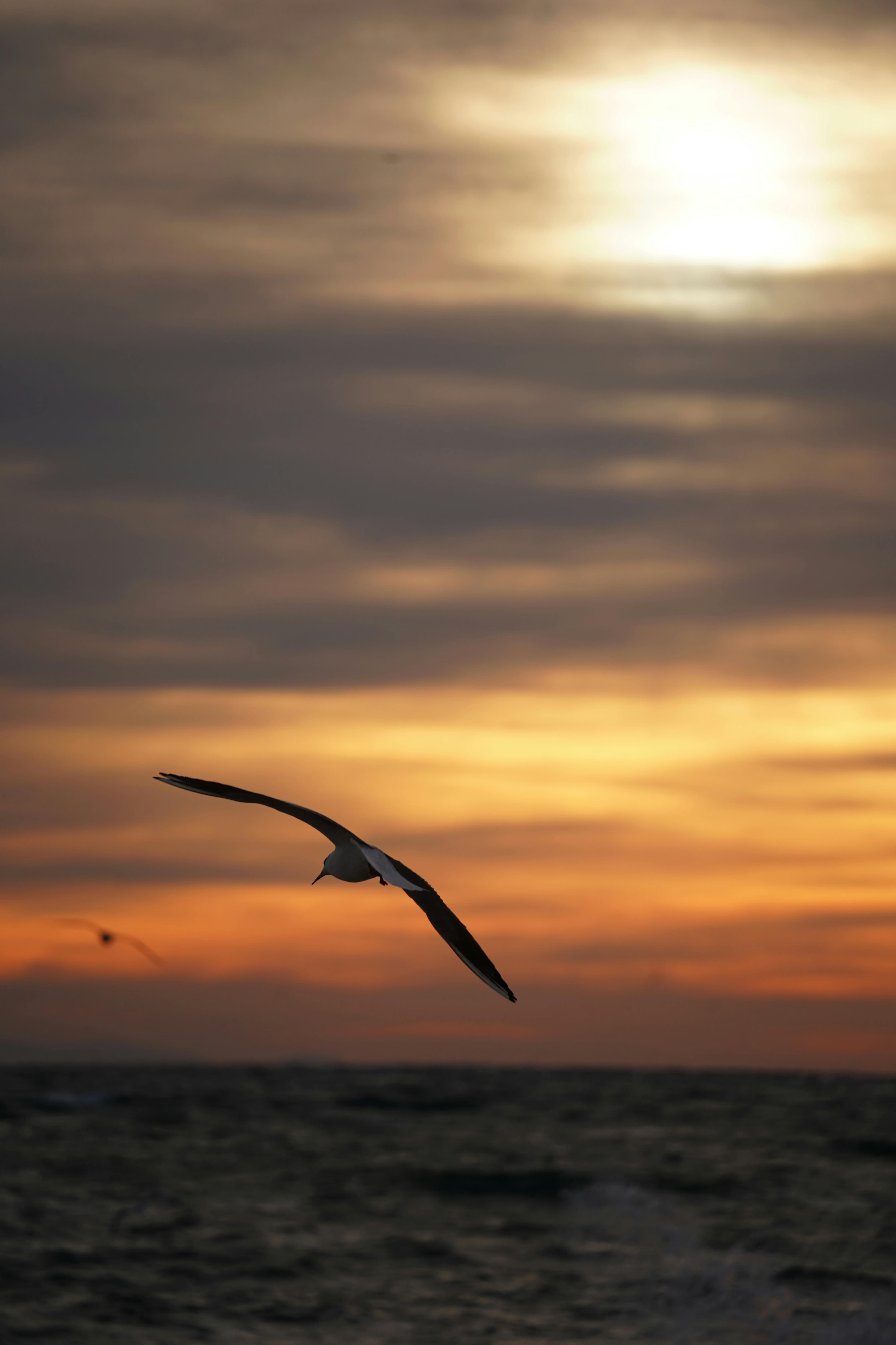 Beauty & Personal Care services